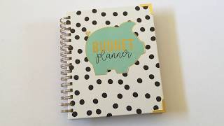 Carpe Diem Budget Planner Review Pros amp Cons [upl. by Kinnard]