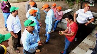 REPORTAJE CURSO PIMIENTA GORDA EN HONDURAS [upl. by Kape]