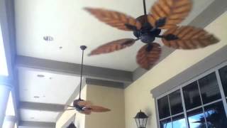 Concord Fernleaf Breeze Ceiling Fans [upl. by Decca896]