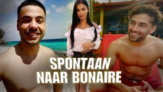 SPONTAAN NAAR BONAIRE [upl. by Wandie578]