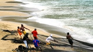 Tobago Beaches [upl. by Anatole]