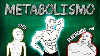 METABOLISMO  CATABOLISMO  ANABOLISMO ¿QUE SON [upl. by Si]