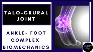 ANKLE FOOT COMPLEX INTRODUCTION TALOCRURAL JOINTPhysiotherapy Tutorials [upl. by Yelich]