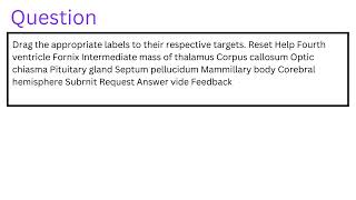 Drag the appropriate labels to their respective targets [upl. by Mazman967]