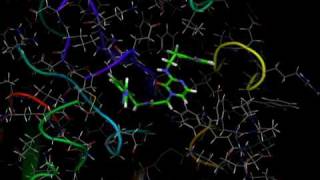 Disco Docking  Computational Drug Design [upl. by Sturges4]