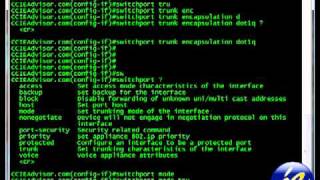 Learn how to create a dot1q trunk 8021q configuration on Cisco IOS from ccieadvisorcom [upl. by Navis]