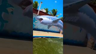 Tubarão gigante na piscina [upl. by Gloriana]