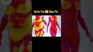 Body Fat VS Slim Fit Body bodyfatloss weightlossseries weightlossworkout shortvideo sports [upl. by Oleta]