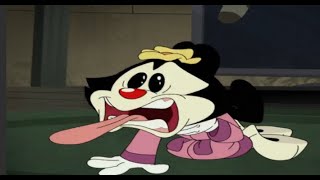 i edited an animaniacs episode pt 10 im out of rhymes [upl. by Cleland]