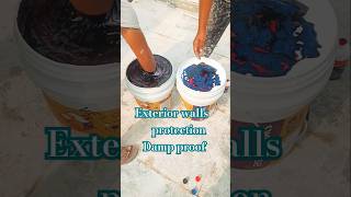 homepainter waterproofing home homedecor vairalshort painter vairalvideo [upl. by Adham361]