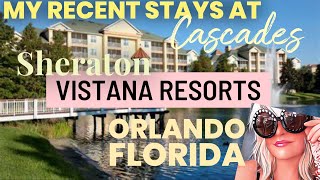 Sheraton Vistana Resort Orlando Florida 2024 [upl. by Eluk570]