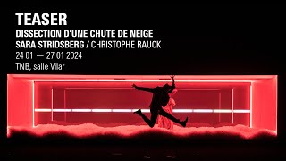 TEASER  quotDissection dune chute de neigequot Christophe Rauck [upl. by Baseler]