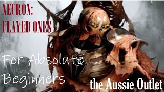 Flayed Ones for Absolute Beginners [upl. by Anaud]