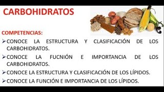 CARBOHIDRATOS  FUNCIONES  CLASIFICACIÓN  ESTRUCTURA  CARACTERISTICAS  BIOLOGÍA [upl. by Bridie]