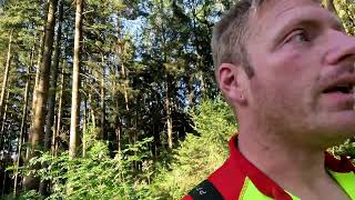 Forstreich Tr24 HD und Sk 50 mit Stihl 500i im Einsatz [upl. by Garfield]