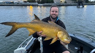 Brisbane river threadfin salmon fishing Port of brisbane live bait [upl. by Adaliah559]