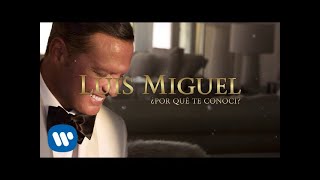 Luis Miguel  ¿Por Qué Te Conocí Lyric Video [upl. by Nidorf]