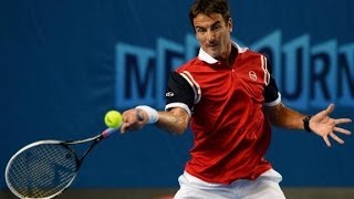 HD Tommy Robredo vs Richard Gasquet Australian Open 2014 R3  HIGHLIGHTS [upl. by Morlee637]