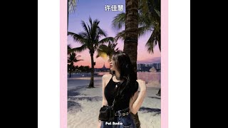 China sad song in TikTok 2024 Remix x 许佳慧 Elextro Remix pat audio [upl. by Ainslee450]