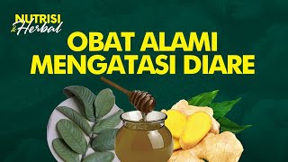 Manjur Obat Alami Menyetop Diare Secara Cepat dan Aman  Nutrisi amp Herbal 7 [upl. by Nonna]