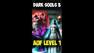 Das große Level 1 Projekt [upl. by Ardnnek]