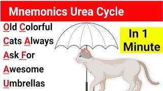 Mnemonic Urea Cycle  Urea Cycle Mnemonic USMLE  Urea Cycle Mnemonic  Urea Cycle trick [upl. by Bagley]