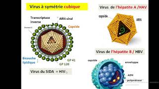 Cytologieبالعربية  1 Organisation generale de la cellule  Part 3 Les Virus [upl. by Buskirk]