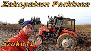 Obornik i Orka Perkinsem Vlog225 Ursus Zakopał się Musisz to zobaczyć [upl. by Ylrrad]