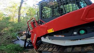 Mowing trees with CID extreme brush mower on my Takeuchi skeedsteer [upl. by Nelag900]