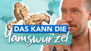 Die wilde Yamswurzel – Was kann sie Was sagen die Studien [upl. by Lankton]