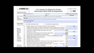 1040NREZ Tax return preparation by BusinessAccountantcom [upl. by Levison913]