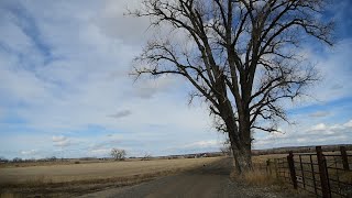 Site of a proposed gravel pit at Frey Road and Shepherd Road East [upl. by Thorman]