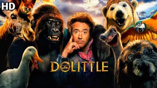 Dolittle Full Movie In Hindi Dubbed HD  New Hollywood Movie  Facts amp Review [upl. by Sherwin]