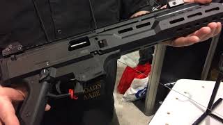 CZ Scorpion EVO 3 S1 Suppressed SBR with Silencerco 9K Muzzle Can [upl. by Pussej]