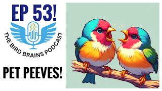 Pet Peeves and Bird Updates The Bird Brains Podcast EP 53 [upl. by Adaran321]