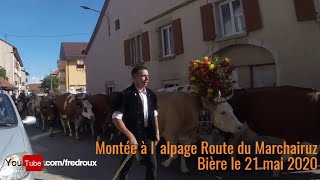 Montée à lalpage Route du Marchairuz Bière le 21 mai 2020 [upl. by Schramke]