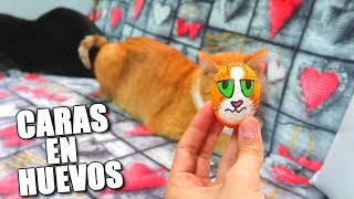 LAS CARAS DE LOS GATOS EN HUEVOS [upl. by Attey]