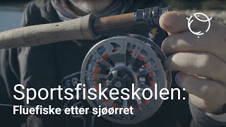 Sportsfiskeskolen  Sjøørretfiske med flue [upl. by Jeni160]