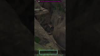 Ark Ascended The Center RatHole Island Cave Short Gaming arkascended [upl. by Anekam]