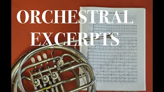 ORCHESTRAL EXCERPT for FRENCH HORN 13 R Strauss Till Eulenspiegel 2 [upl. by Aurea]