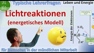 Lichtreaktionen der Fotosynthese  Energetisches Modell lichtabhängigeReaktionen [upl. by Ynafit431]