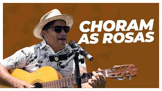 choram as rosas  BRUNO E MARRONE O melhor da musica sertaneja [upl. by Eidoj691]