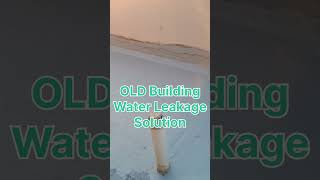 Old Building Water Leakage Solution । Old Terrace Seepage Problem Solution । Roof Waterproof Repair [upl. by Pillihp359]