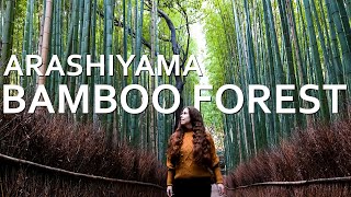 A relaxing walk through a bamboo forest  Exploring Tenryūji Temple in KyotoJapan Walk4K [upl. by Filip]