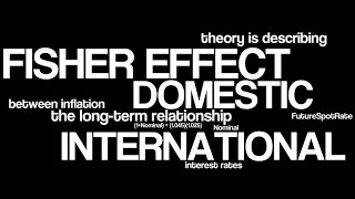 THE FISHER EFFECT THEORY EXPLAINED  DEFINITION [upl. by Eetsim]