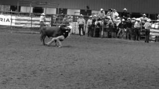 steer wrestling louisiana high school rodeo finals 2010 [upl. by Janaye986]