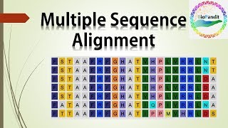 Multiple Sequence Alignment [upl. by Acile]