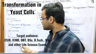 Transformation in Yeast Cells [upl. by Galasyn]