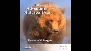 The Adventures of Buster Bear audiobook [upl. by Arihas]