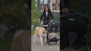 Saudism Pet Stroller [upl. by Henriette]